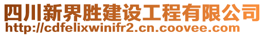 四川新界勝建設(shè)工程有限公司