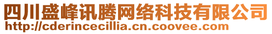 四川盛峰訊騰網絡科技有限公司