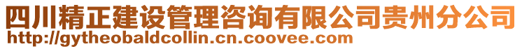 四川精正建設(shè)管理咨詢有限公司貴州分公司