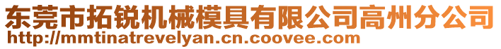 東莞市拓銳機械模具有限公司高州分公司