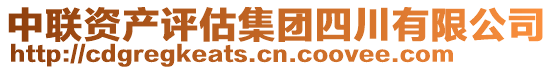 中聯(lián)資產(chǎn)評估集團四川有限公司