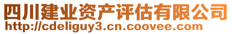 四川建業(yè)資產(chǎn)評(píng)估有限公司