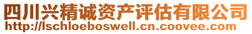 四川興精誠資產評估有限公司