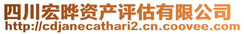 四川宏曄資產評估有限公司