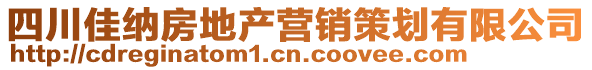 四川佳納房地產(chǎn)營(yíng)銷策劃有限公司