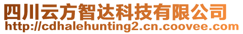 四川云方智達科技有限公司