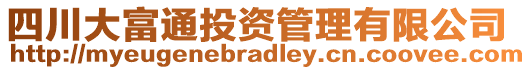 四川大富通投資管理有限公司