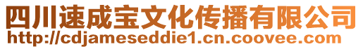 四川速成寶文化傳播有限公司