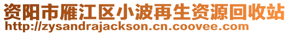 資陽市雁江區(qū)小波再生資源回收站