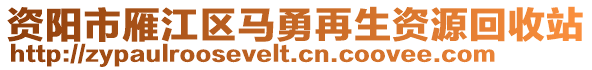 資陽市雁江區(qū)馬勇再生資源回收站