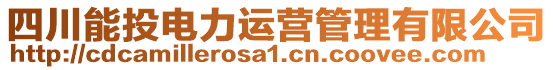 四川能投電力運營管理有限公司