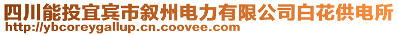 四川能投宜賓市敘州電力有限公司白花供電所