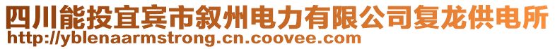 四川能投宜賓市敘州電力有限公司復龍供電所