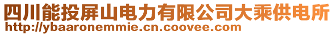 四川能投屏山電力有限公司大乘供電所