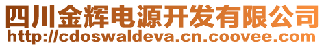 四川金輝電源開發有限公司