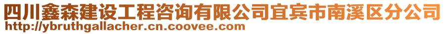 四川鑫森建設(shè)工程咨詢有限公司宜賓市南溪區(qū)分公司