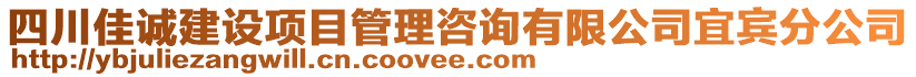 四川佳誠建設(shè)項(xiàng)目管理咨詢有限公司宜賓分公司