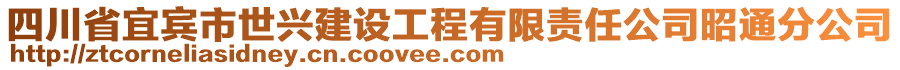 四川省宜賓市世興建設(shè)工程有限責任公司昭通分公司