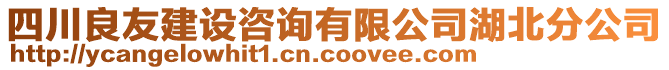 四川良友建設(shè)咨詢有限公司湖北分公司