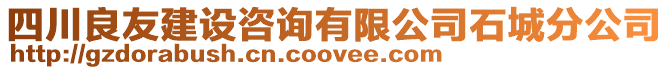 四川良友建設(shè)咨詢有限公司石城分公司