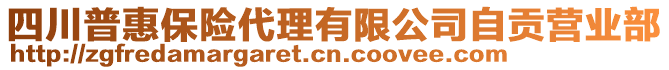 四川普惠保險(xiǎn)代理有限公司自貢營業(yè)部