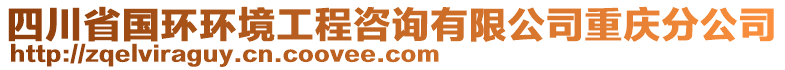 四川省國環(huán)環(huán)境工程咨詢有限公司重慶分公司