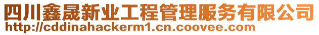 四川鑫晟新業(yè)工程管理服務(wù)有限公司