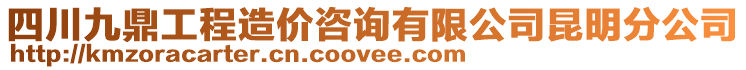 四川九鼎工程造價咨詢有限公司昆明分公司