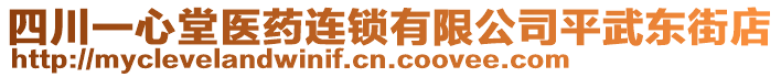 四川一心堂醫(yī)藥連鎖有限公司平武東街店