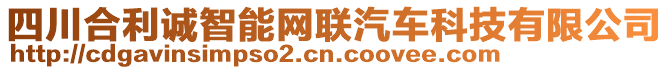 四川合利誠(chéng)智能網(wǎng)聯(lián)汽車科技有限公司