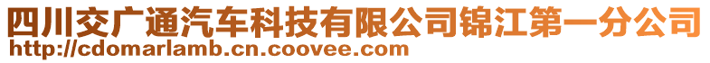 四川交廣通汽車科技有限公司錦江第一分公司