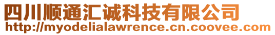 四川順通匯誠(chéng)科技有限公司