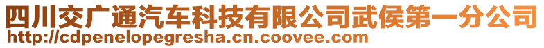 四川交廣通汽車科技有限公司武侯第一分公司