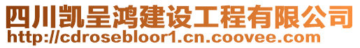 四川凱呈鴻建設工程有限公司