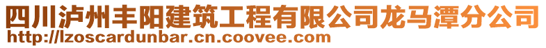 四川瀘州豐陽建筑工程有限公司龍馬潭分公司