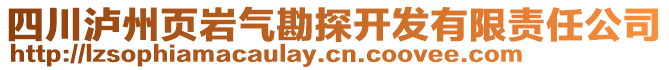 四川瀘州頁巖氣勘探開發有限責任公司
