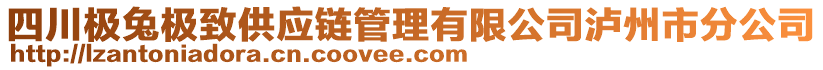 四川極兔極致供應(yīng)鏈管理有限公司瀘州市分公司