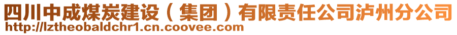 四川中成煤炭建設(集團)有限責任公司瀘州分公司