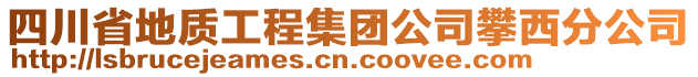 四川省地質(zhì)工程集團公司攀西分公司