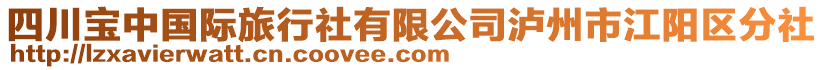 四川寶中國際旅行社有限公司瀘州市江陽區分社