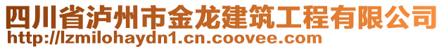 四川省瀘州市金龍建筑工程有限公司