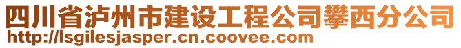 四川省瀘州市建設(shè)工程公司攀西分公司