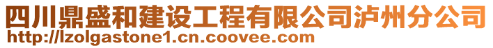 四川鼎盛和建設(shè)工程有限公司瀘州分公司