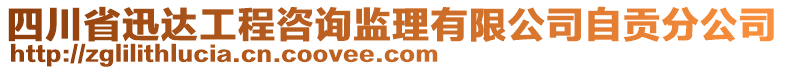 四川省迅達(dá)工程咨詢監(jiān)理有限公司自貢分公司