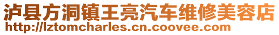 瀘縣方洞鎮(zhèn)王亮汽車維修美容店