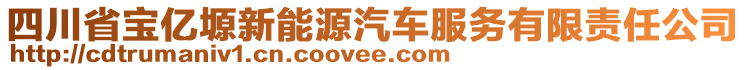 四川省寶億塬新能源汽車服務(wù)有限責(zé)任公司