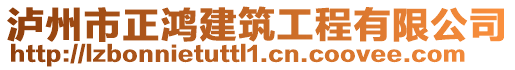 瀘州市正鴻建筑工程有限公司