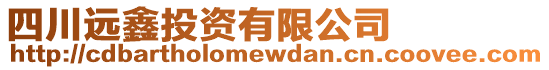 四川遠鑫投資有限公司