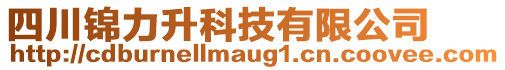 四川錦力升科技有限公司