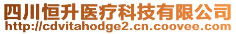 四川恒升醫(yī)療科技有限公司